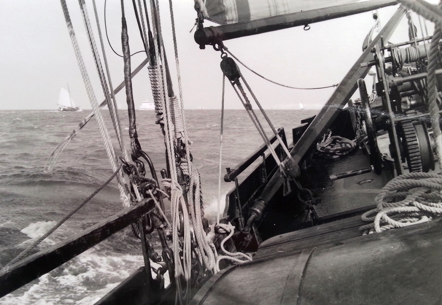Wattenmeer - Zwarte Haan - 1996